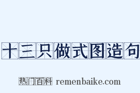 十三只做式图造句是什么意思的图片